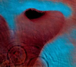 Pink Floyd album cover