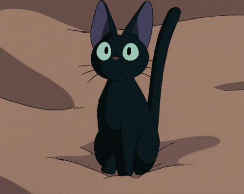 Cat GIF